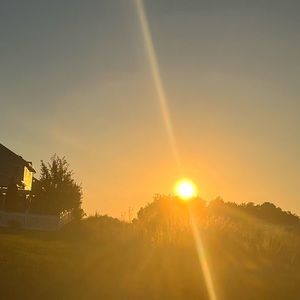 Meet your Posher, @poochielovers